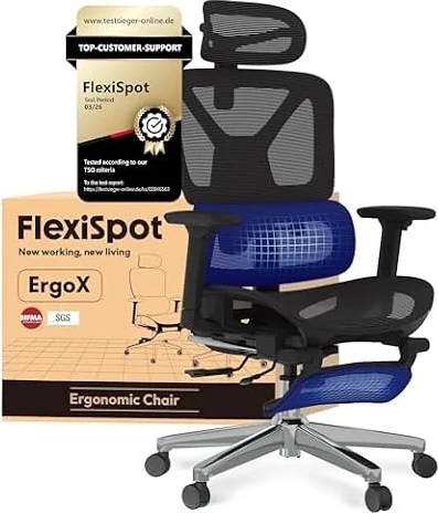 FLEXISPOT Ergonomischer Bürostuhl ErgoX Lite Schwarz
