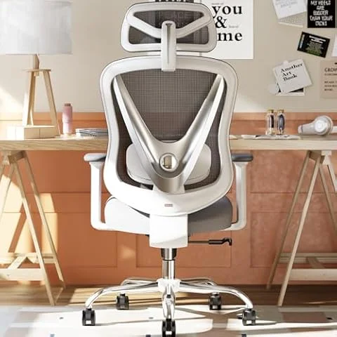 HOLLUDLE Ergonomischer Bürostuhl mit 3D Lendenstütze & 3D verstellbaren Armlehnen – V-förmiges Rücken-Design, bequemer Schreibtischstuhl für Büro & Zuhause, Weiß